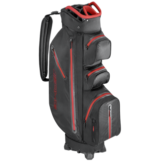 Original AMG Golf-Cartbag B66450459 